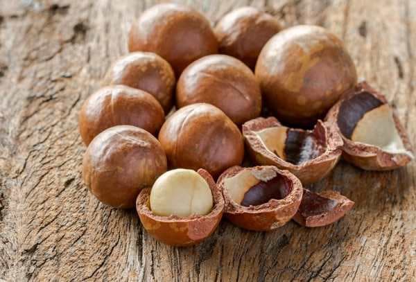 تصویر 2 از خرید فندق افریقایی + قیمت فروش استثنایی